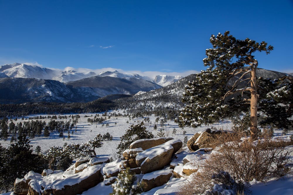Photo of Others in Estes Park