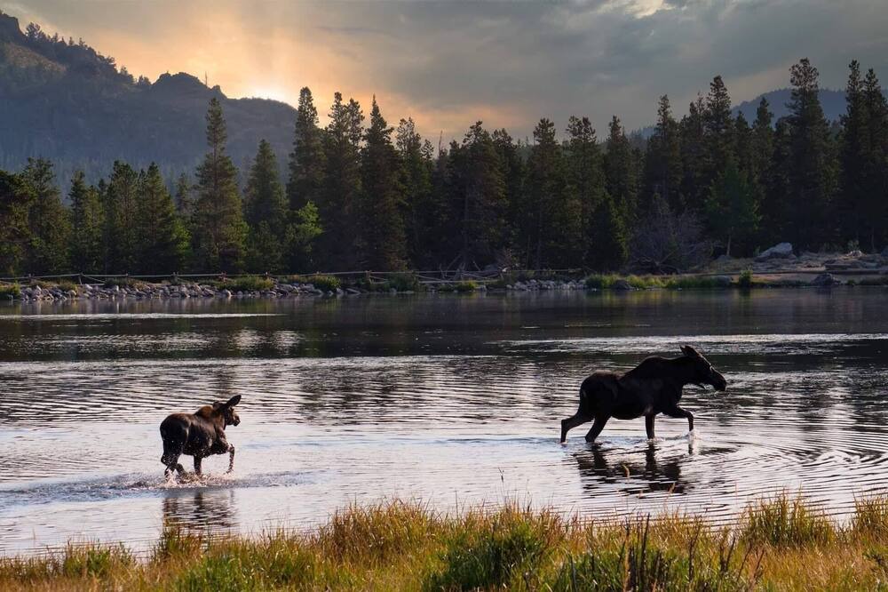 Photo of Others in Estes Park