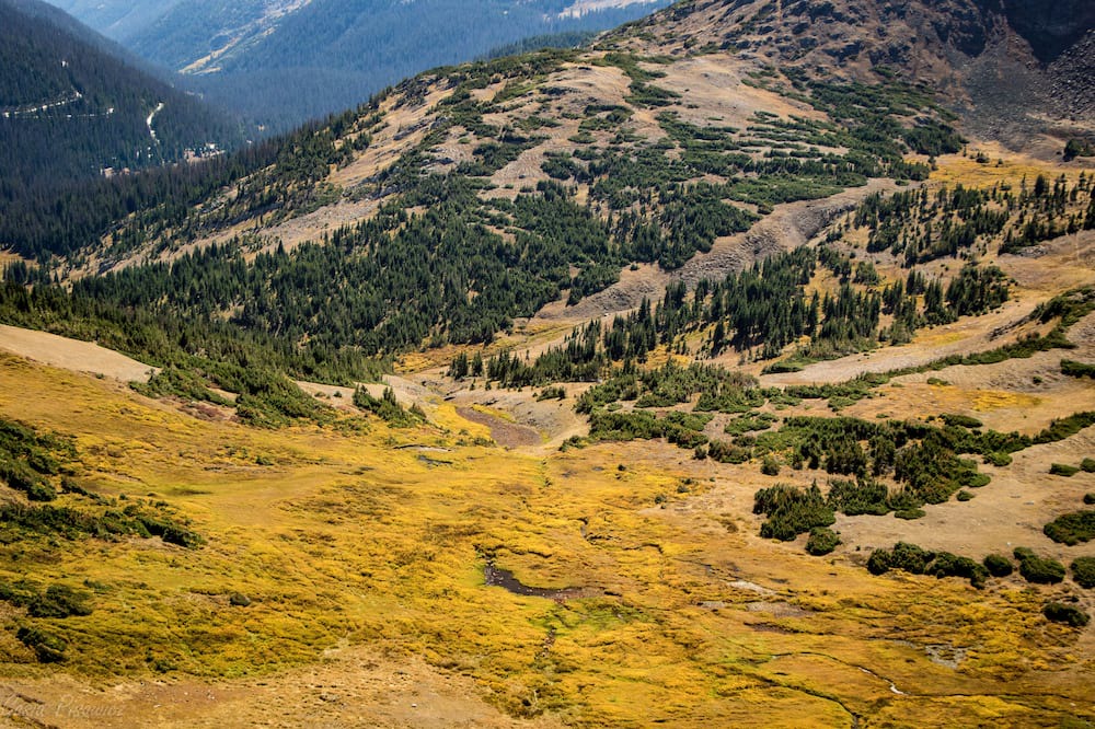 Photo of Others in Estes Park