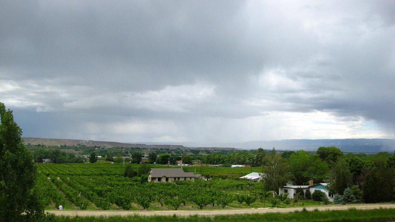 Photo of Outdoor in Palisade