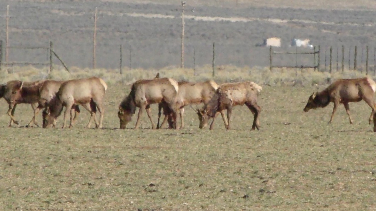 Photo of Outdoor in Antonito