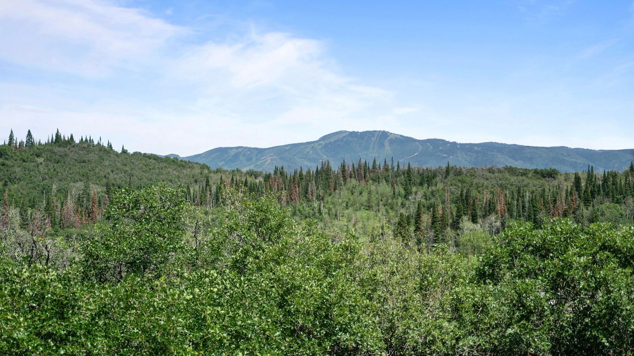Photo of Others in Steamboat Springs