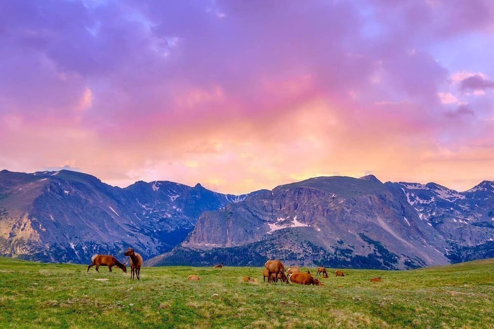 Photo of Others in Estes Park