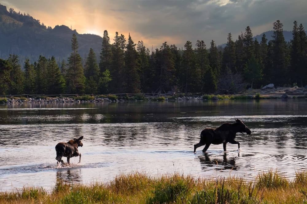 Photo of Others in Estes Park
