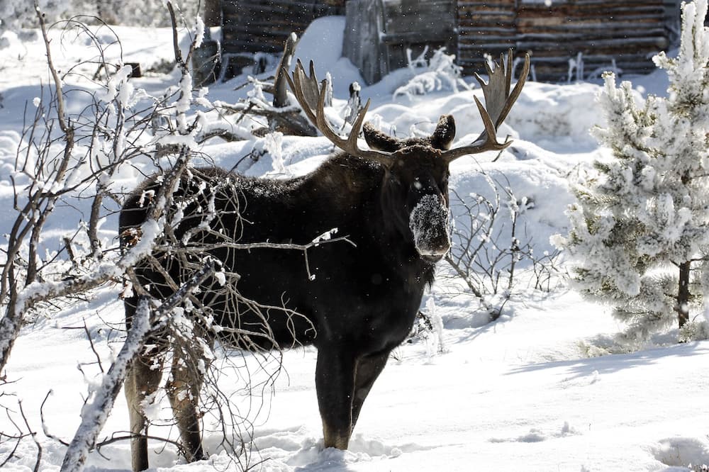 Photo of Others in Estes Park