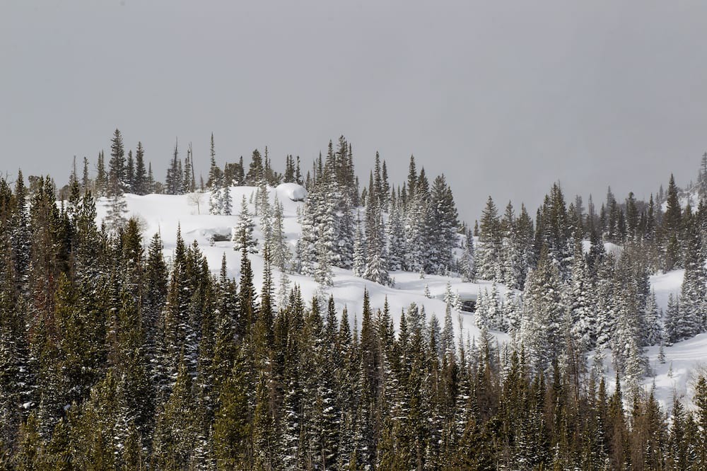 Photo of Others in Estes Park