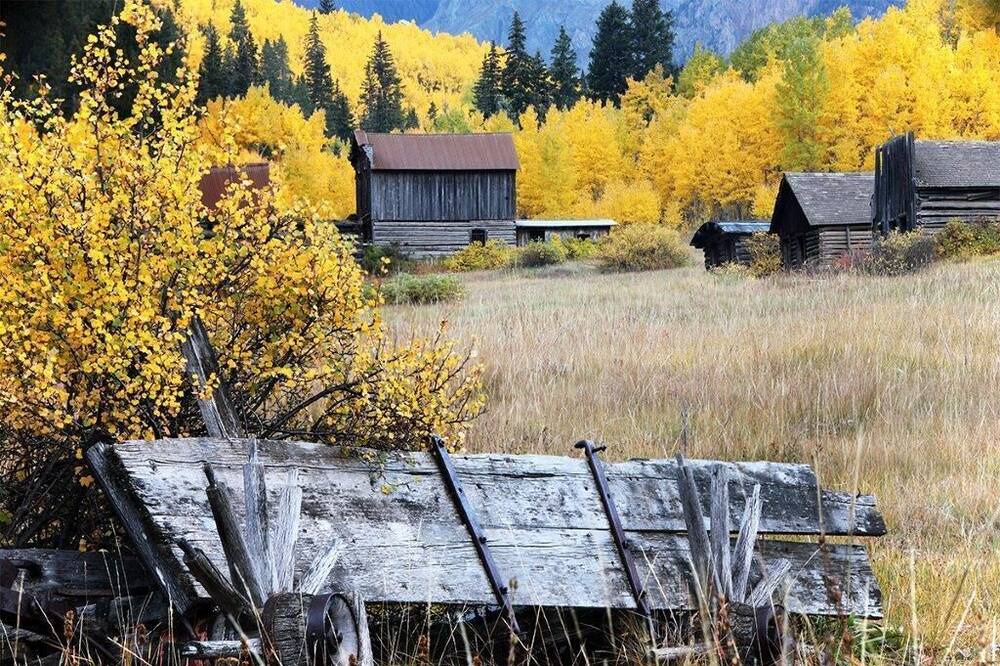Photo of Others in Snowmass Village