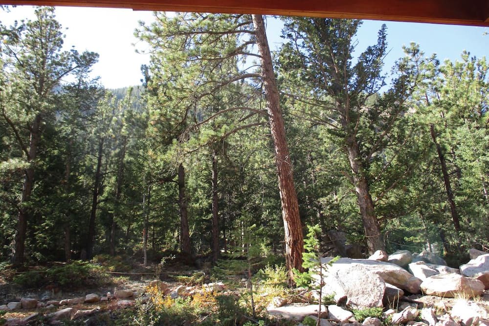 Photo of Bedroom in Idaho Springs