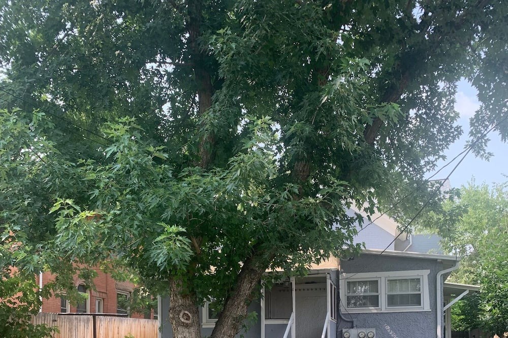 Photo of Others in Central Boulder