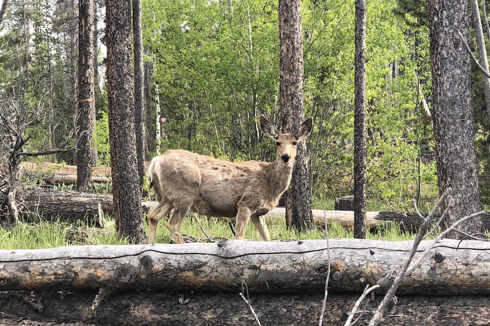 Photo of Others in Crystal Lake