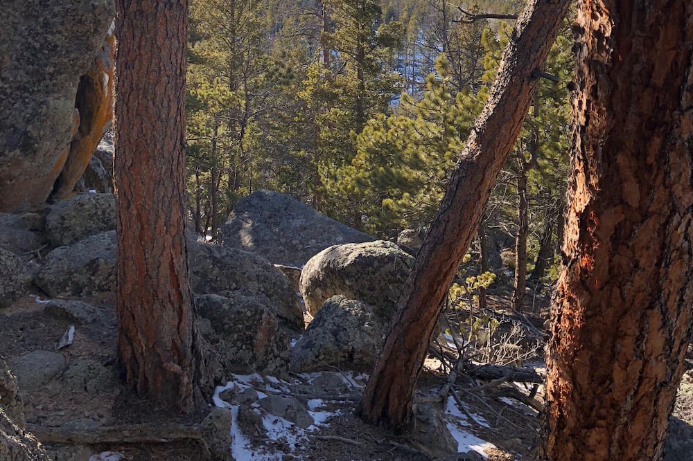 Photo of Outdoor in Crystal Lake