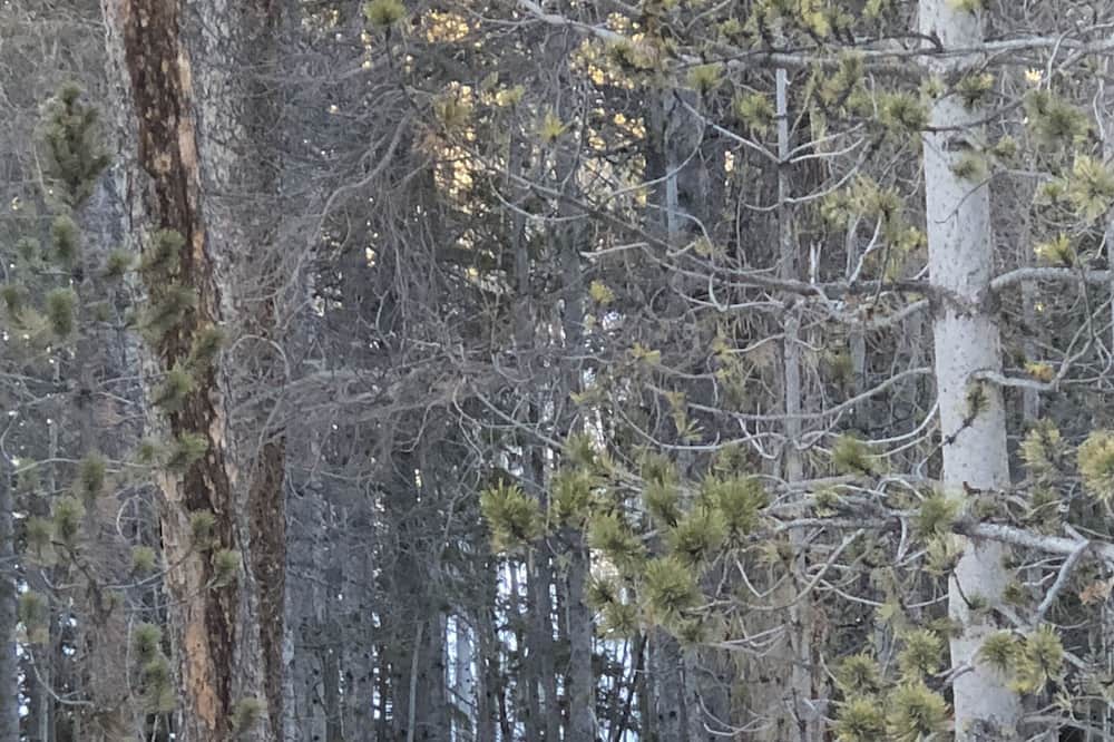 Photo of Others in Crystal Lake