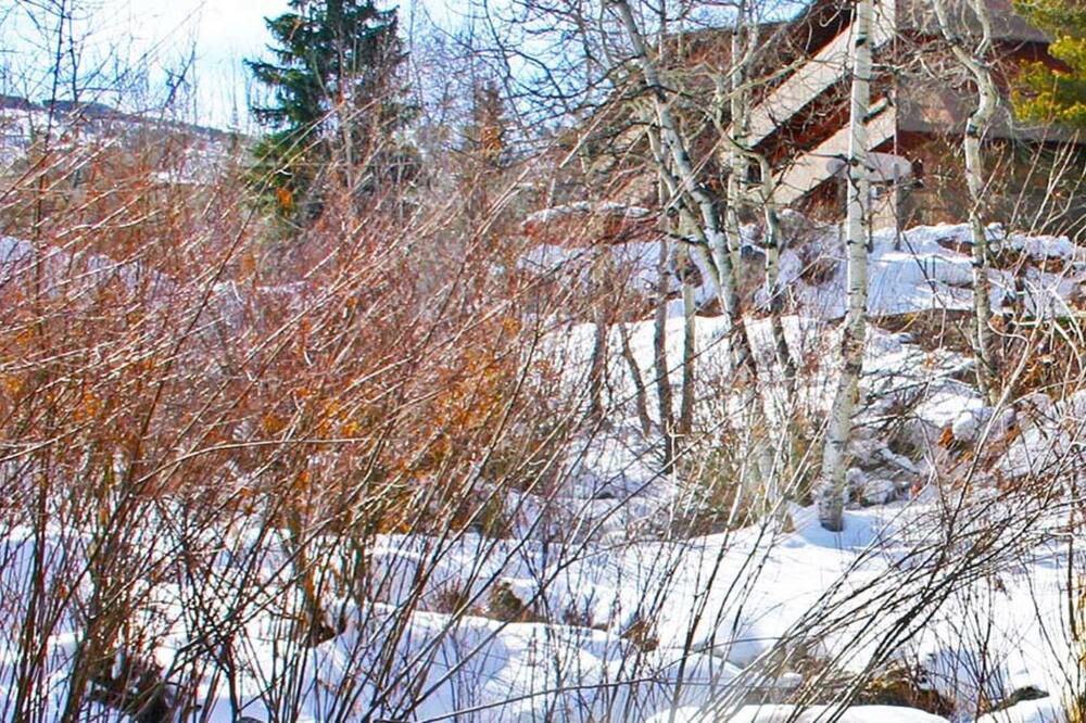 Photo of Outdoor in Snowmass Village