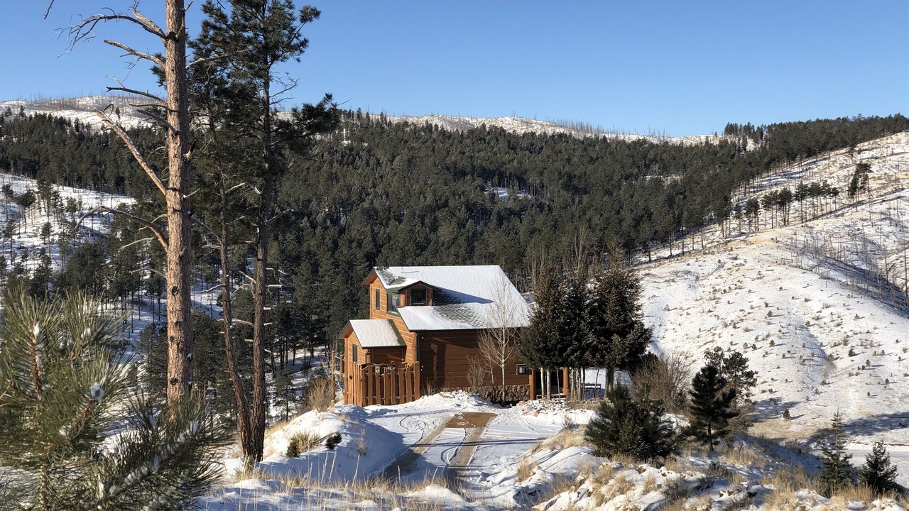 Photo of Outdoor in Woodland Park