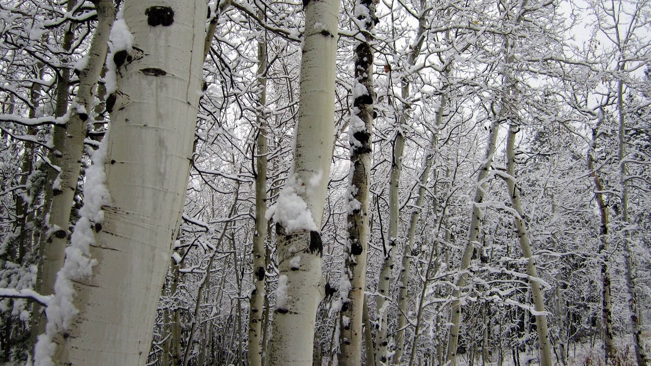 Photo of Outdoor in Black Hawk