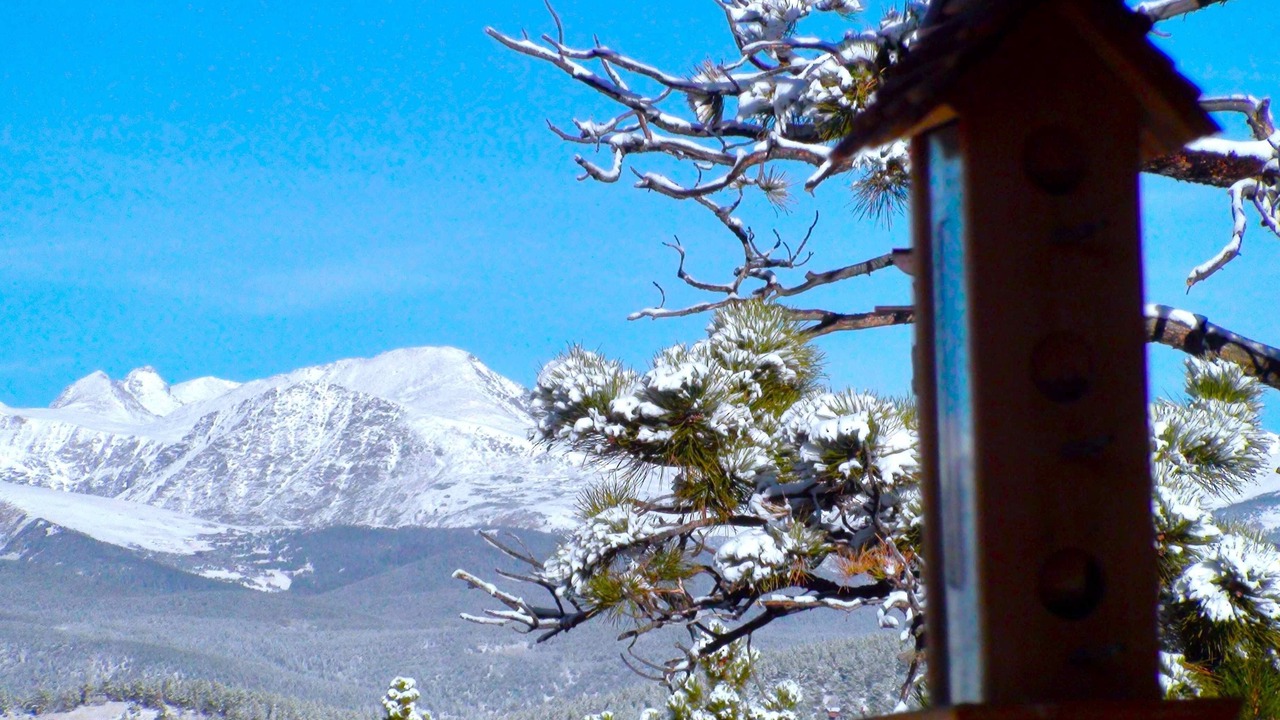 Photo of Outdoor in Black Hawk