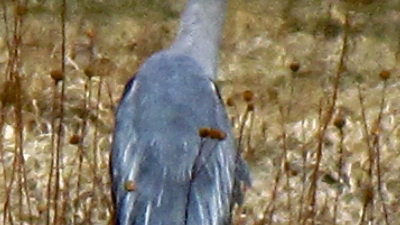 Photo of Outdoor in Salida