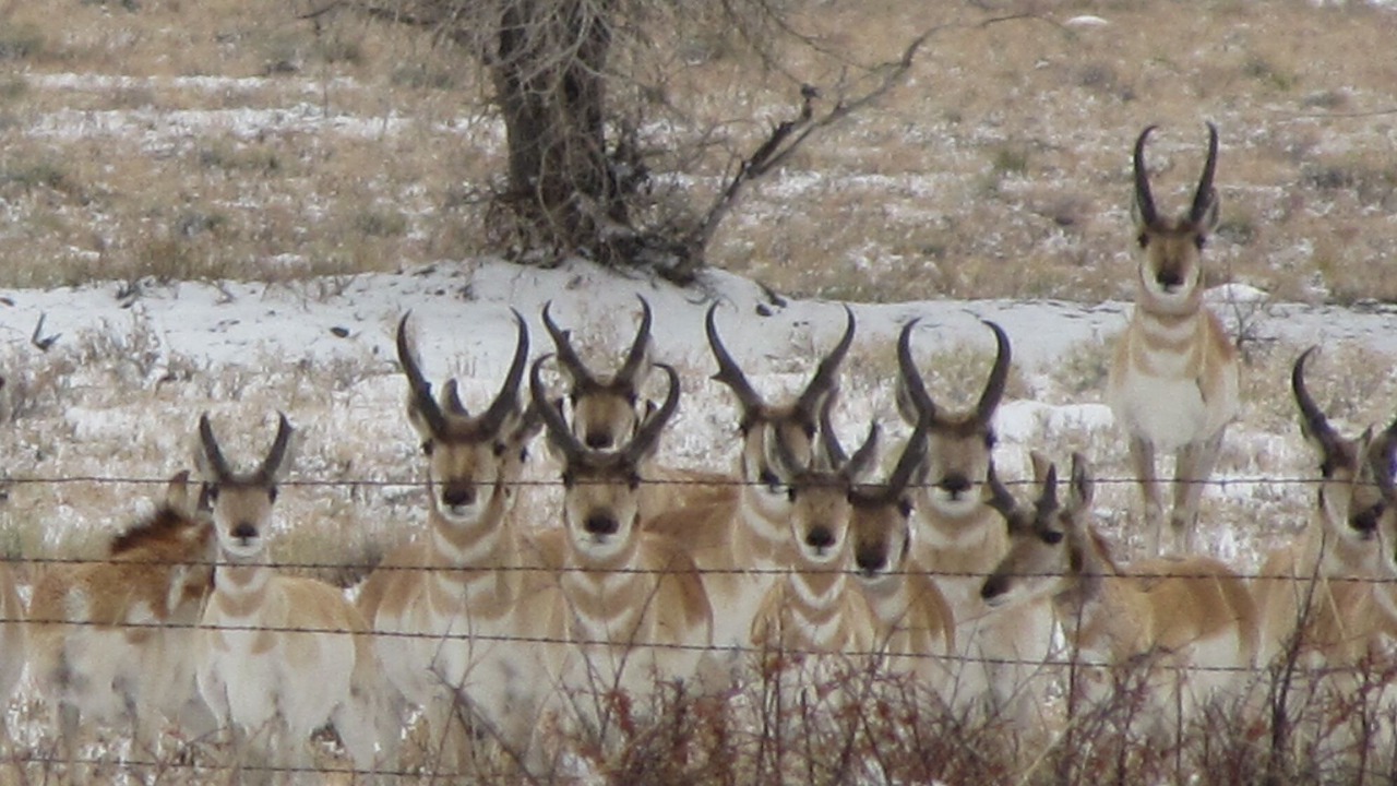 Photo of Outdoor in Salida