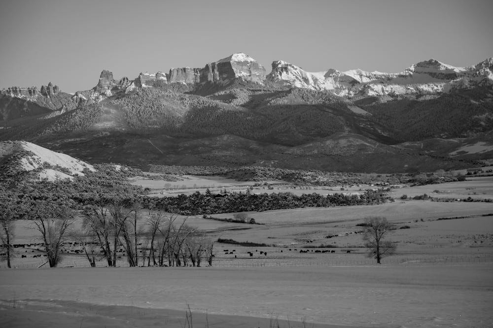 Photo of Others in Solar Ranch