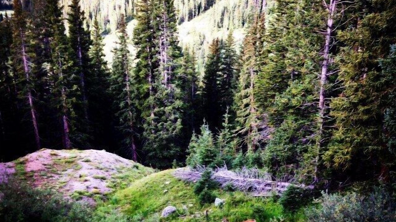 Photo of Outdoor in Twin Lakes