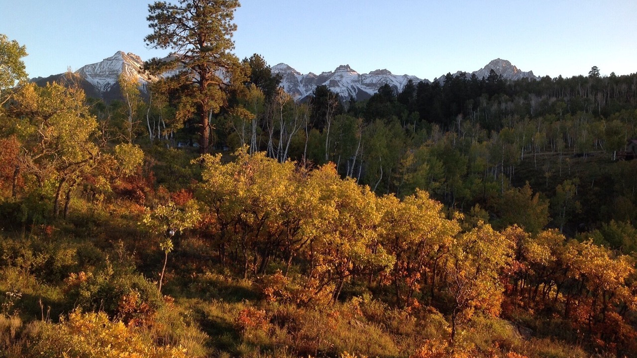 Photo of Outdoor in Elk Meadows