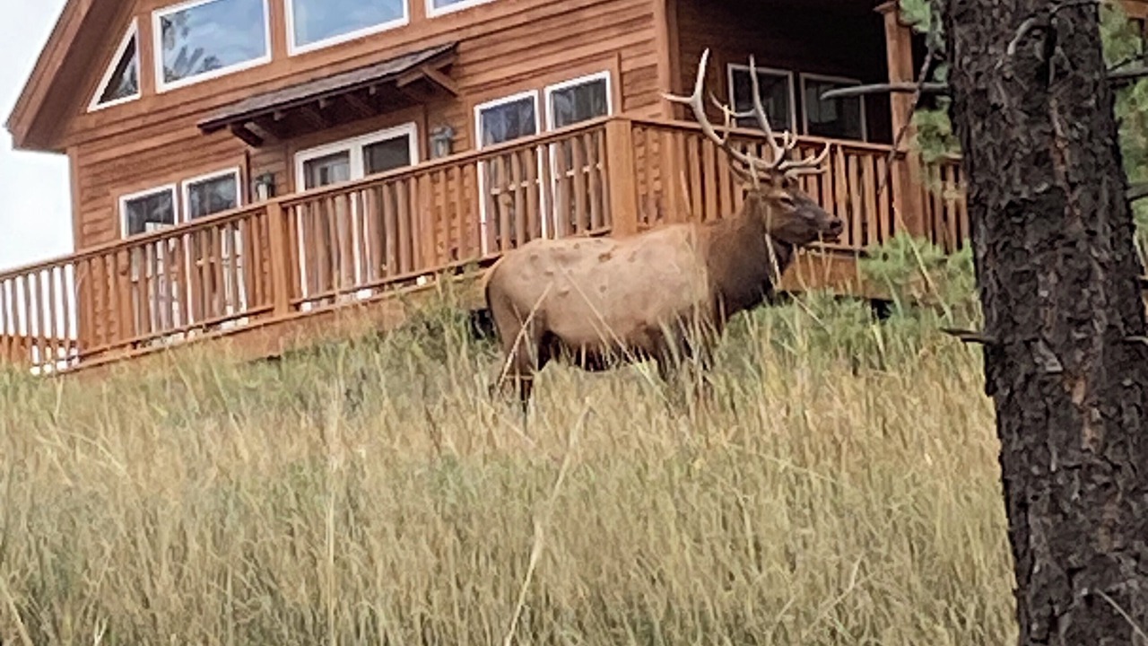 Photo of Outdoor in Evergreen