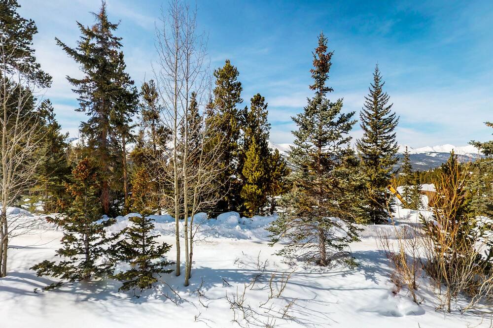 Photo of Others in Baldy Mountain