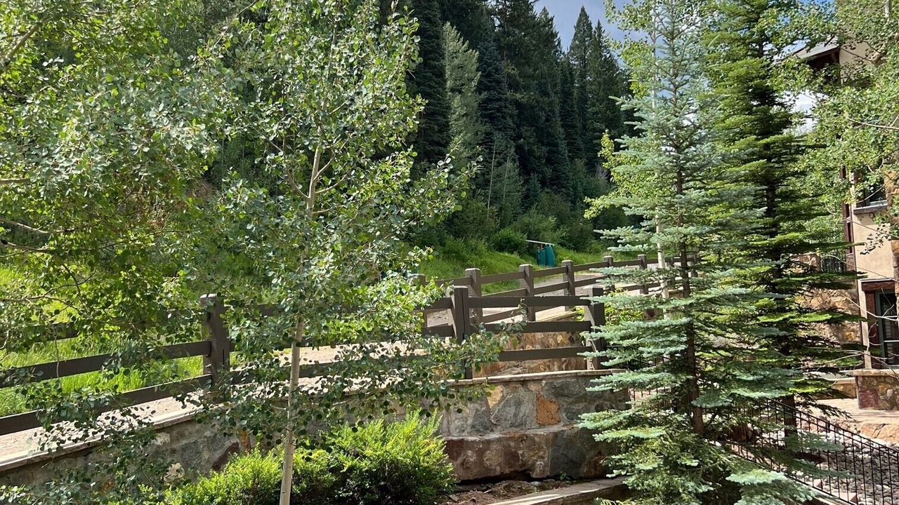 Photo of Outdoor in Village Walk