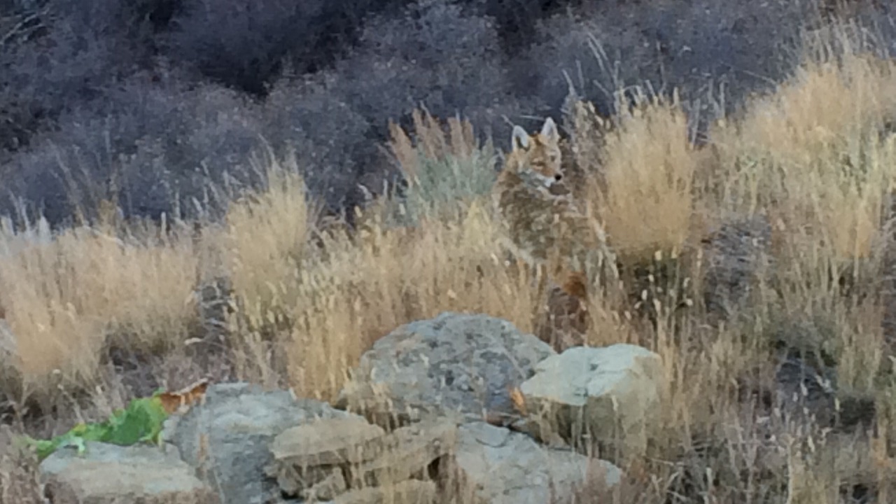 Photo of Others in Brush Creek Village