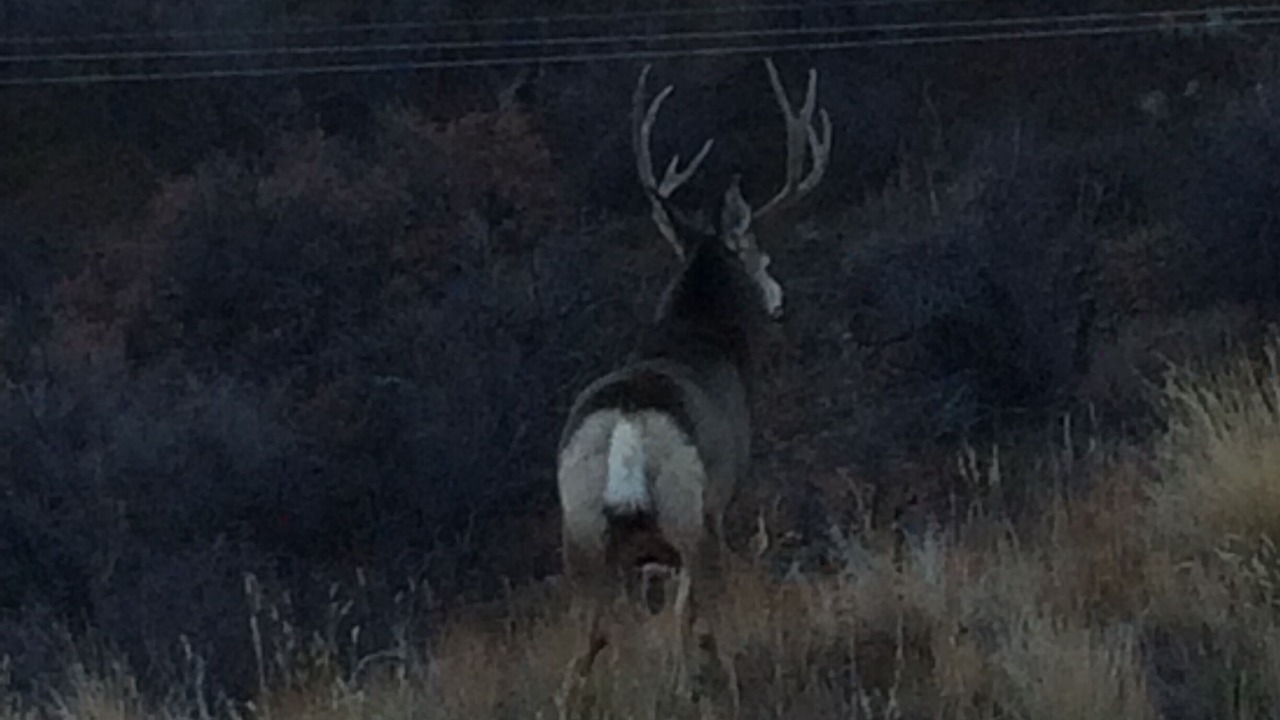 Photo of Others in Brush Creek Village