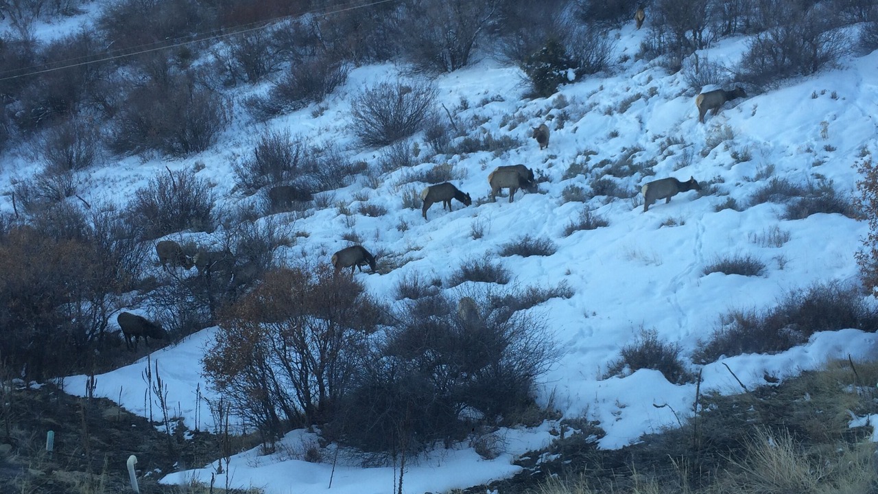 Photo of Outdoor in Brush Creek Village