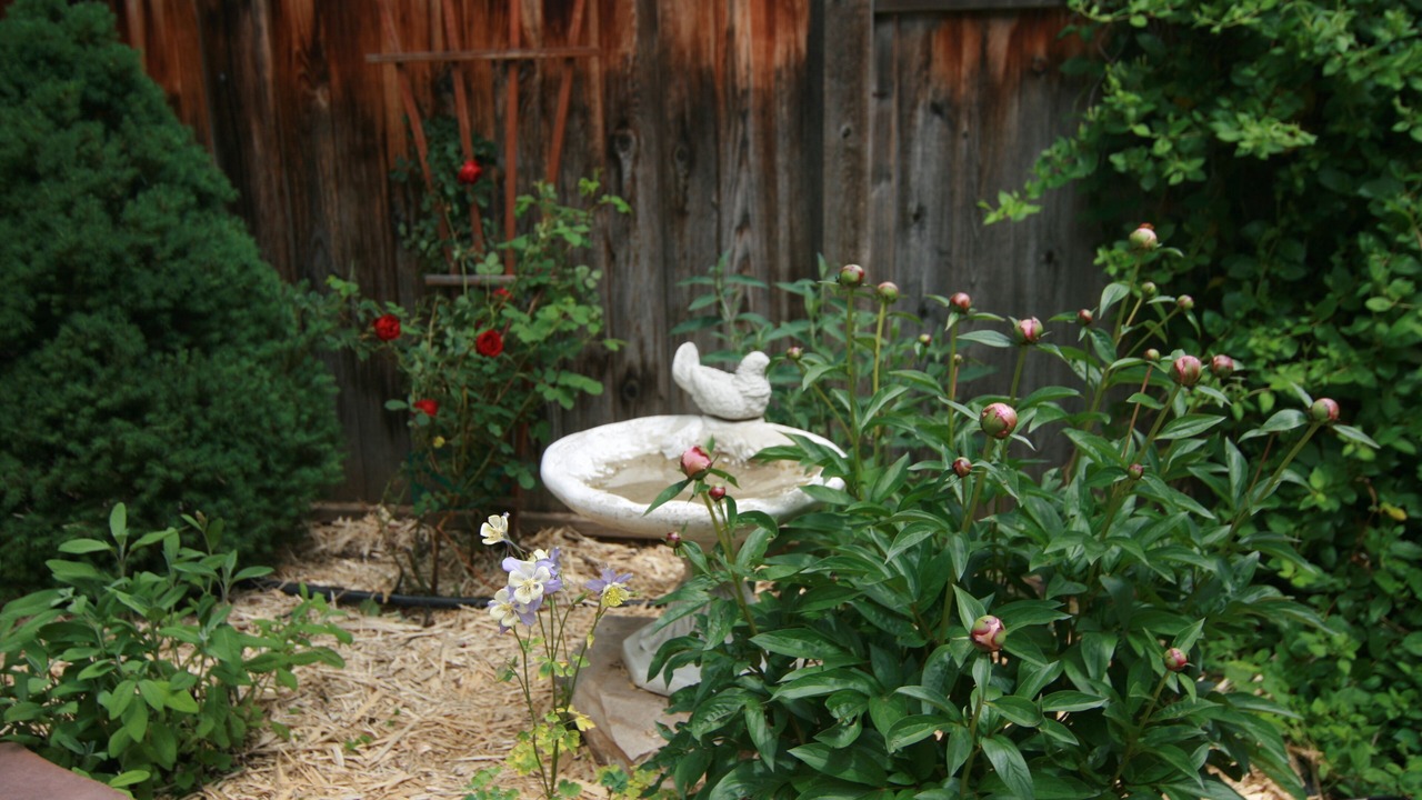 Photo of Outdoor in Central Boulder