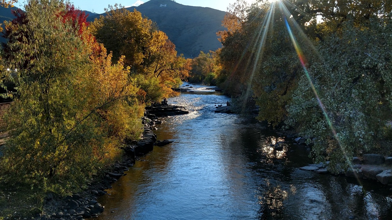 Photo of Others in Foothills