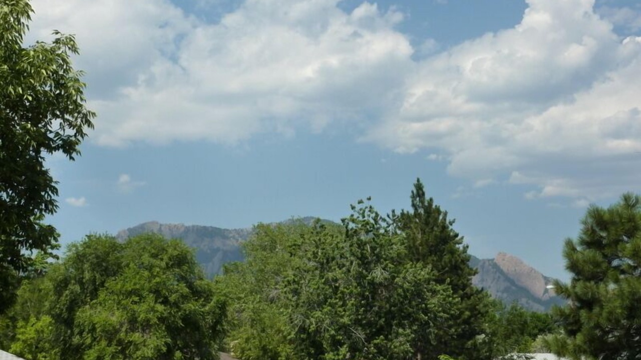 Photo of Others in Martin Acres