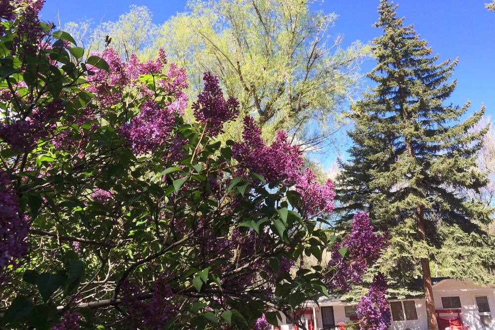 Photo of Outdoor in Manitou Springs