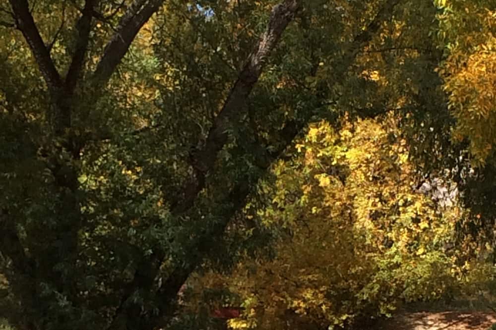 Photo of Others in Manitou Springs
