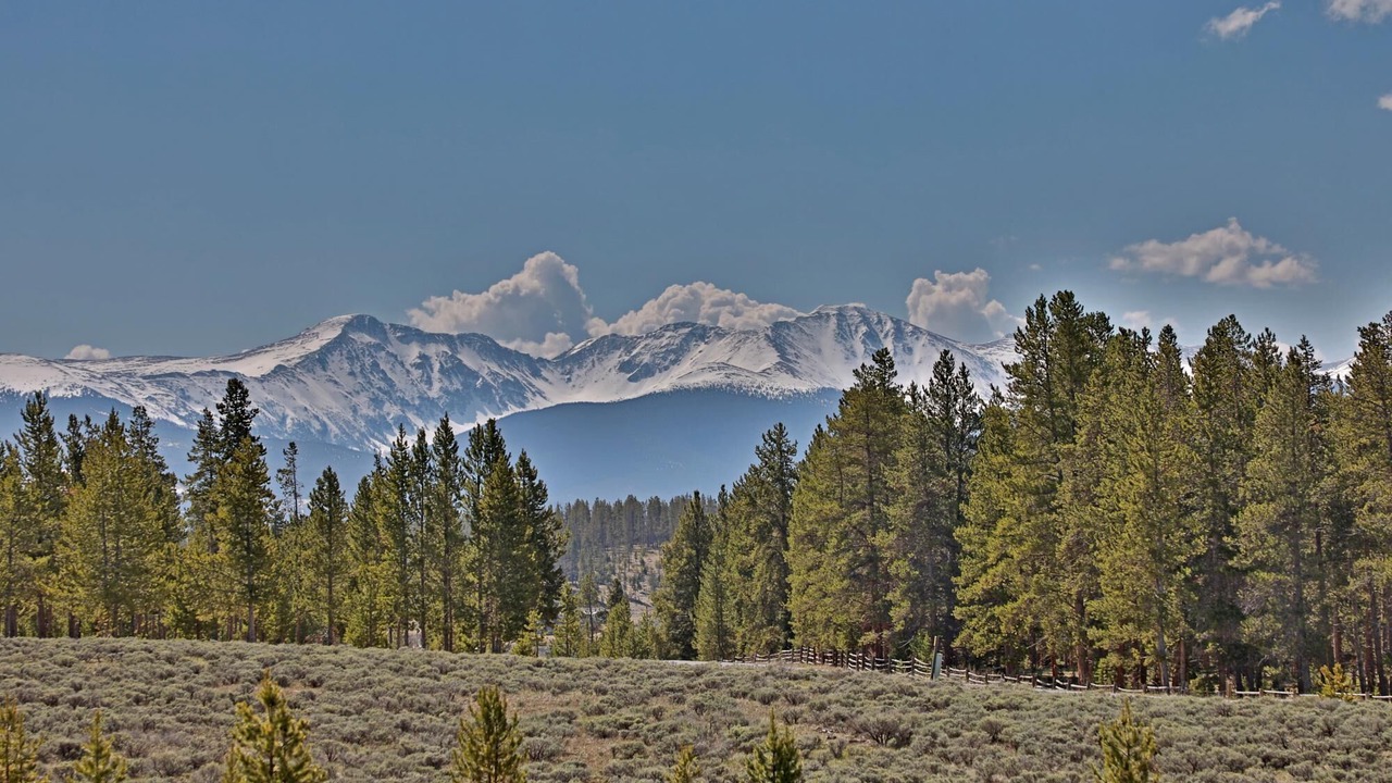 Photo of Others in Pole Creek Meadows