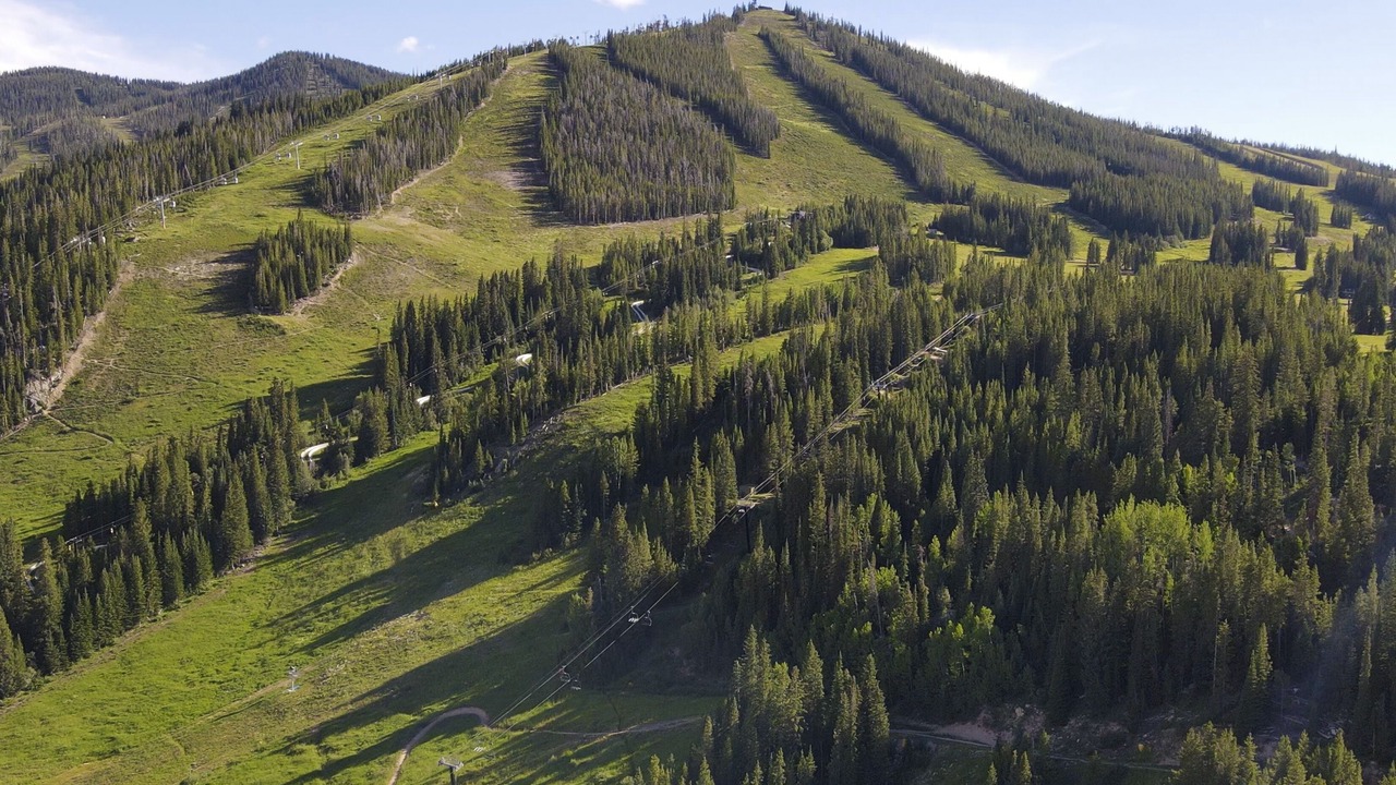 Photo of Others in Pole Creek Meadows