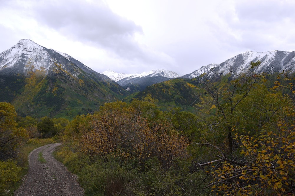 Photo of Outdoor in Carbondale