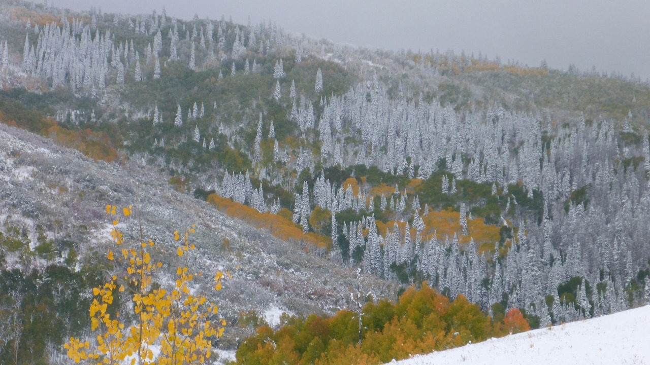 Photo of Outdoor in Steamboat Springs