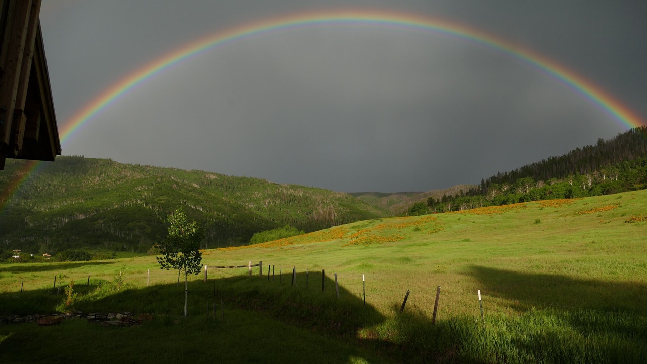 Photo of Others in Steamboat Springs