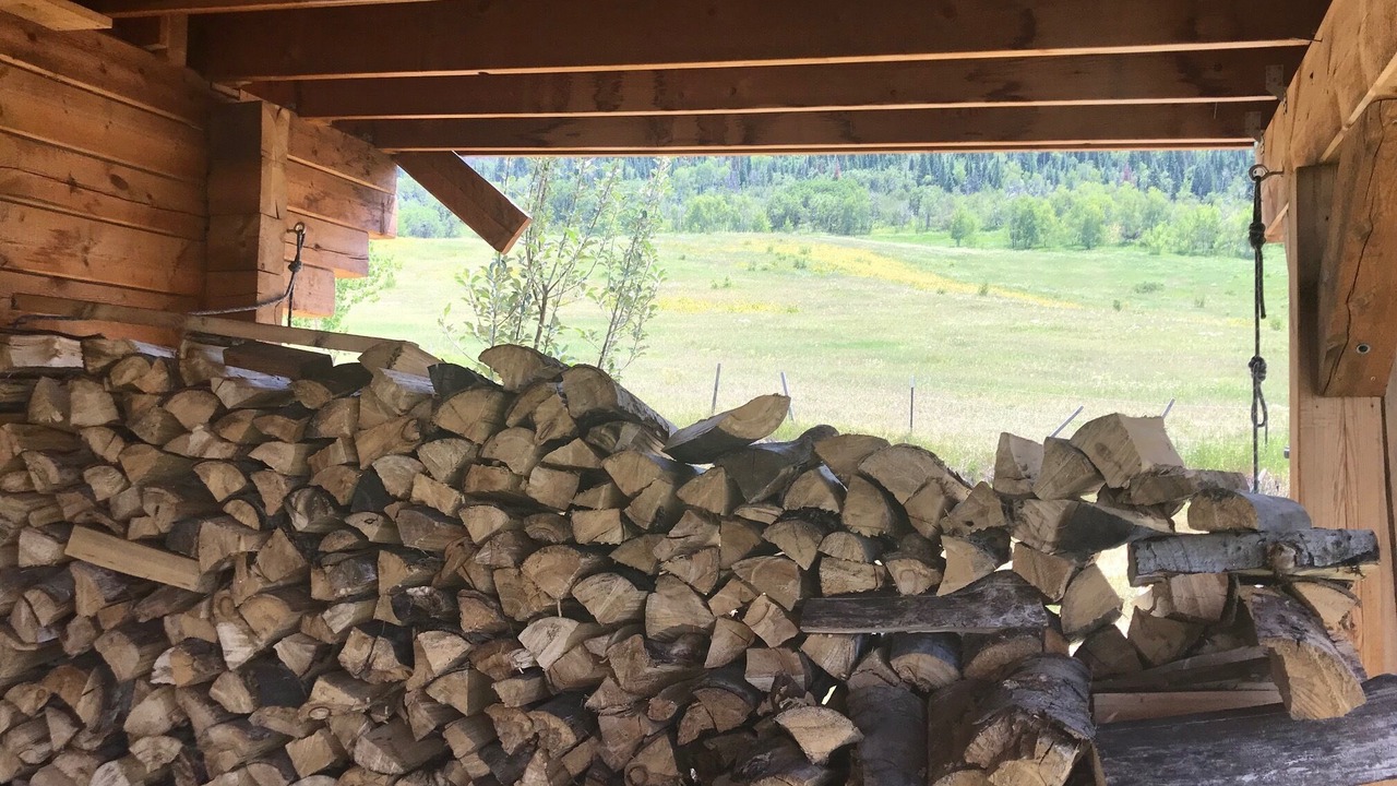 Photo of Others in Steamboat Springs