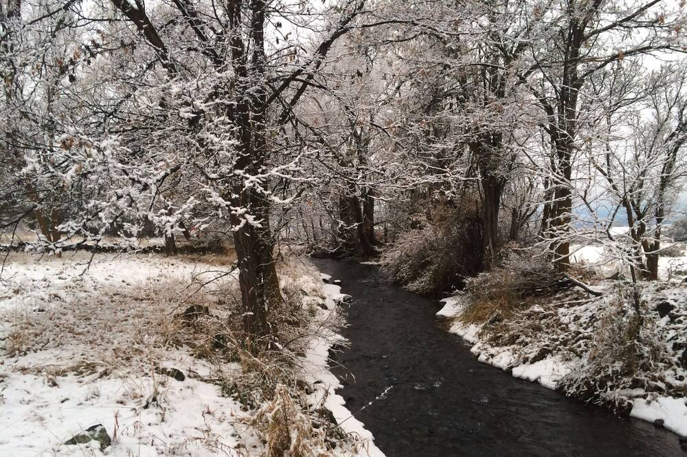 Photo of Outdoor in Cedaredge