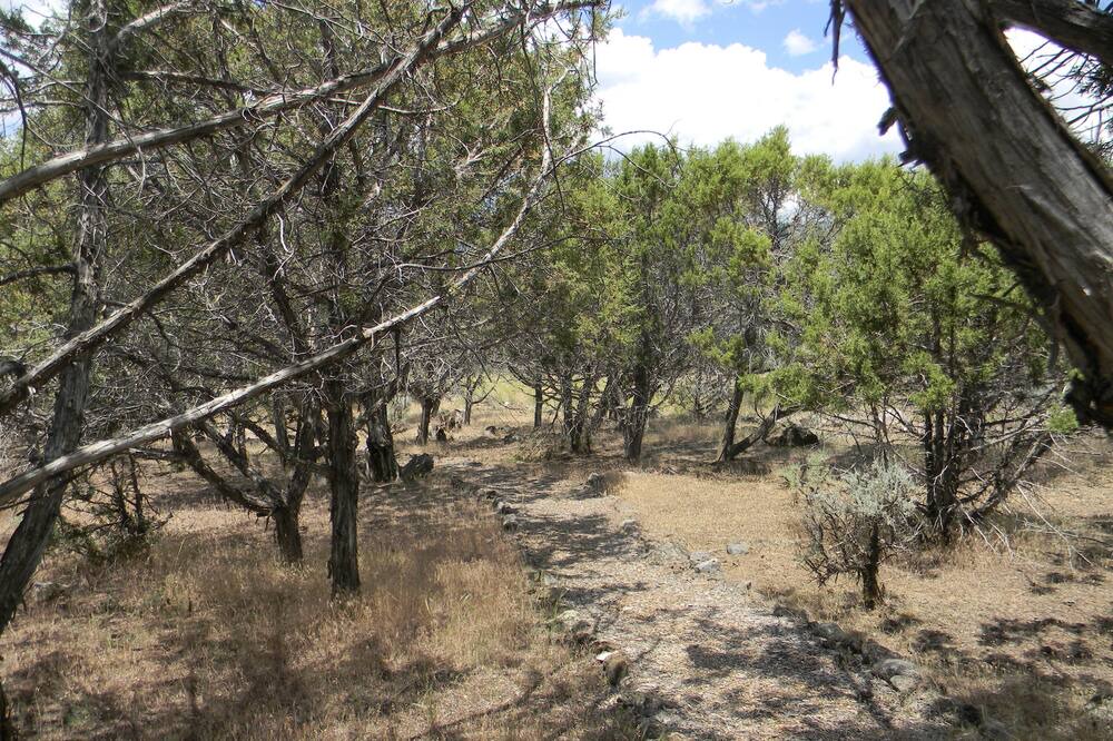 Photo of Outdoor in Cedaredge