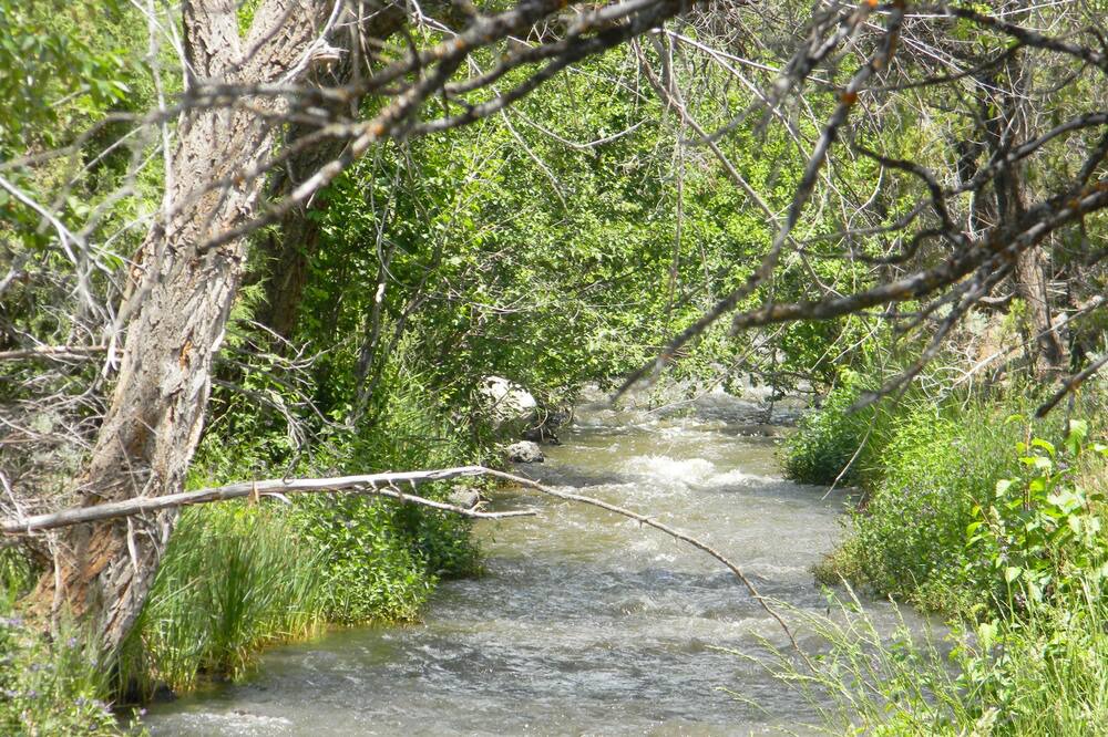 Photo of Outdoor in Cedaredge