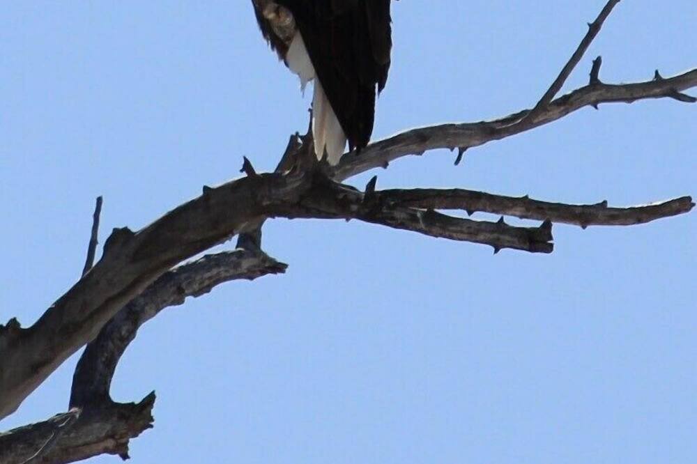 Photo of Outdoor in Cedaredge