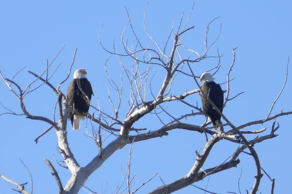 Photo of Others in Cedaredge