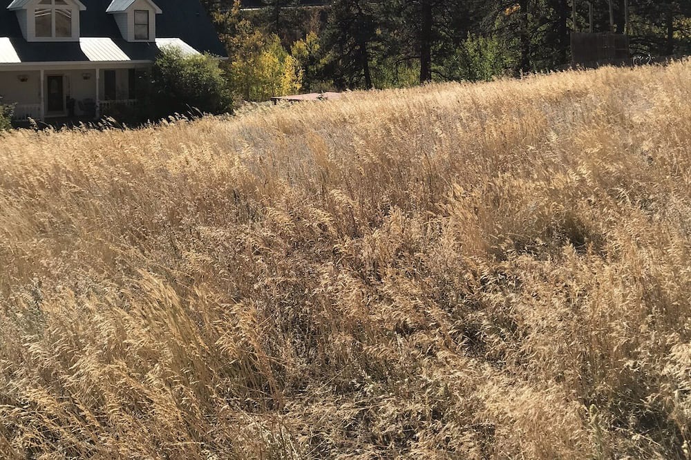 Photo of Outdoor in Grant