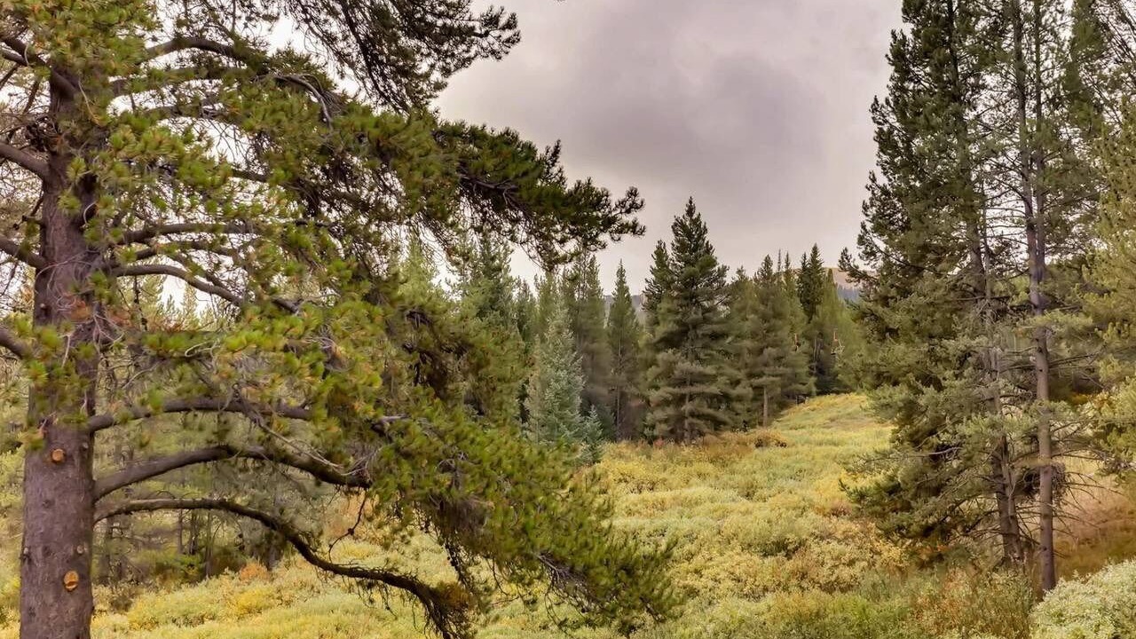Photo of Outdoor in Copper Mountain