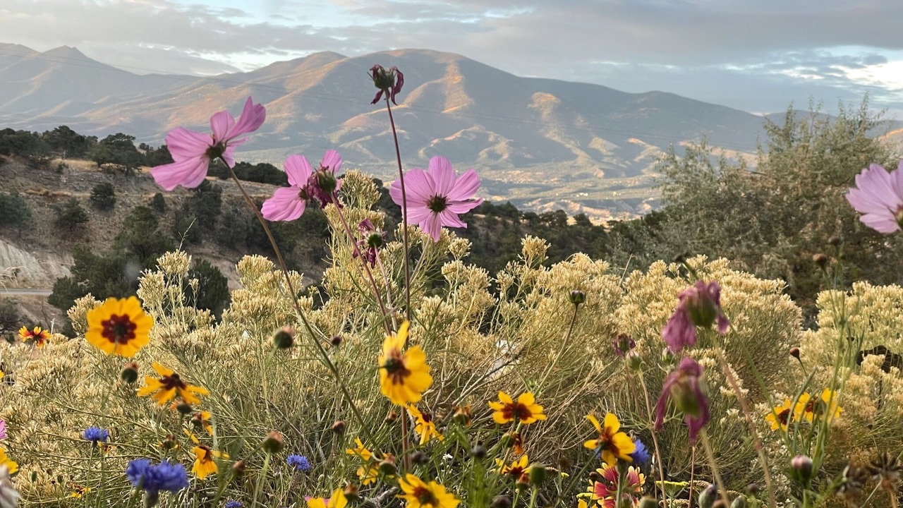 Photo of Outdoor in Salida